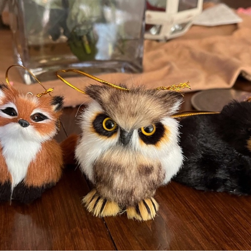 Adorable Owl